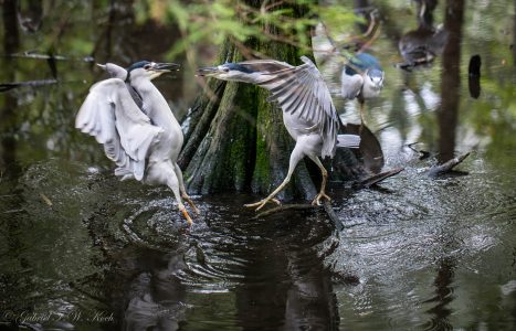 The Lessons of Truth